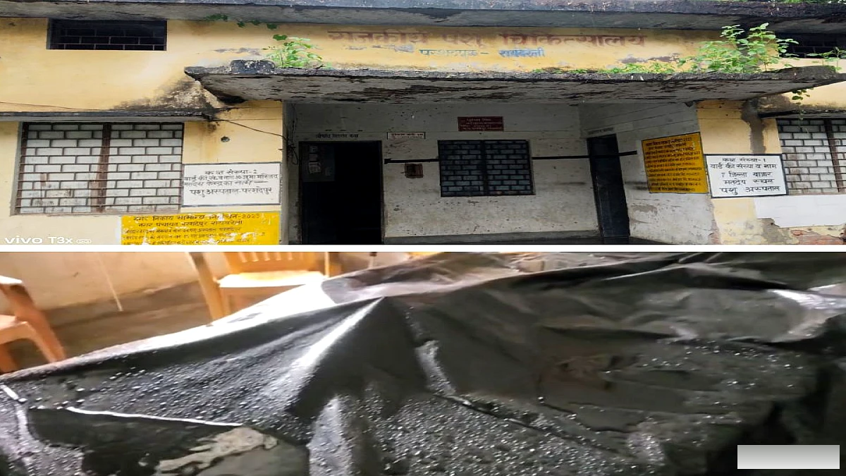 परशदेपुर के जर्जर पशु चिकित्सालय में टपक रही छत, पॉलीथिन के सहारे बच रहीं दवाइयां