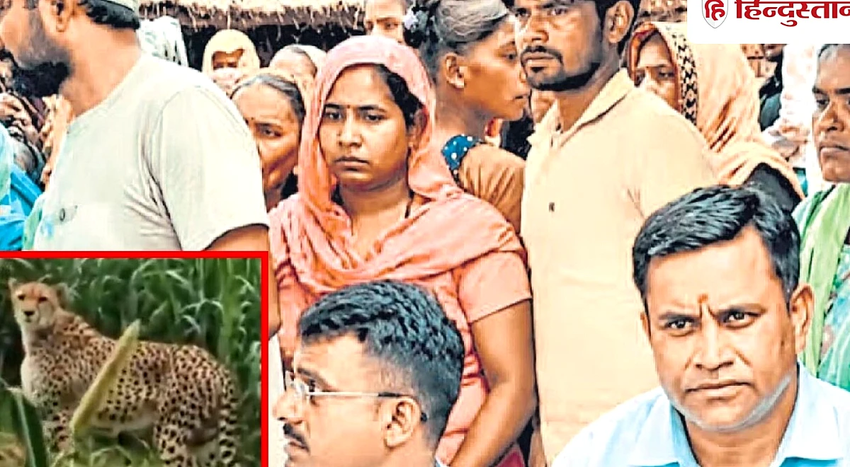 पंचायत के बीच पहुंचा तेंदुआ, मची भगदड़, यूपी के इस जिले में अब लाठी लेकर रात भर पहरा दे रहे लोग