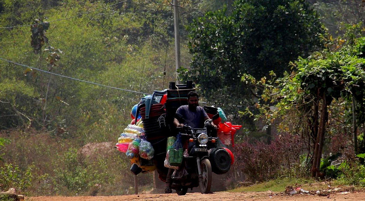ओडिशा ने बाघों के निवास स्थान से गांवों के स्थानांतरण की जांच के लिए जांच समिति बनाई