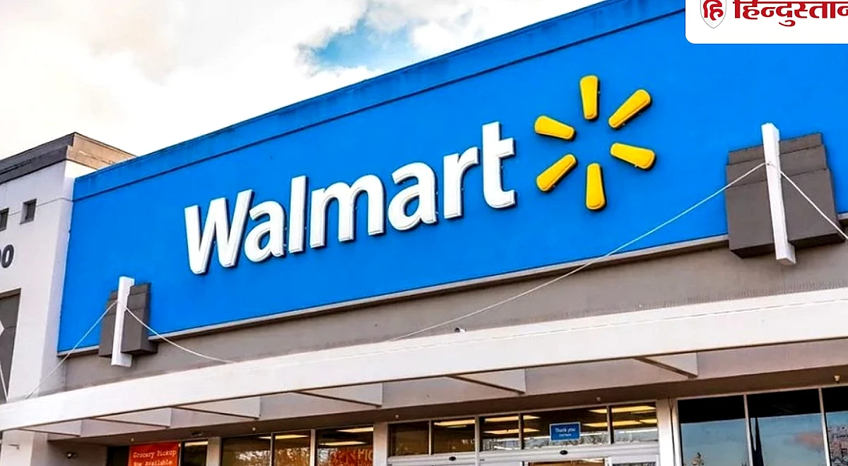 Walmart के नतीजों के बाद शेयर 8.7% धड़ाम! लेकिन Flipkart ने मचा दिया धमाल