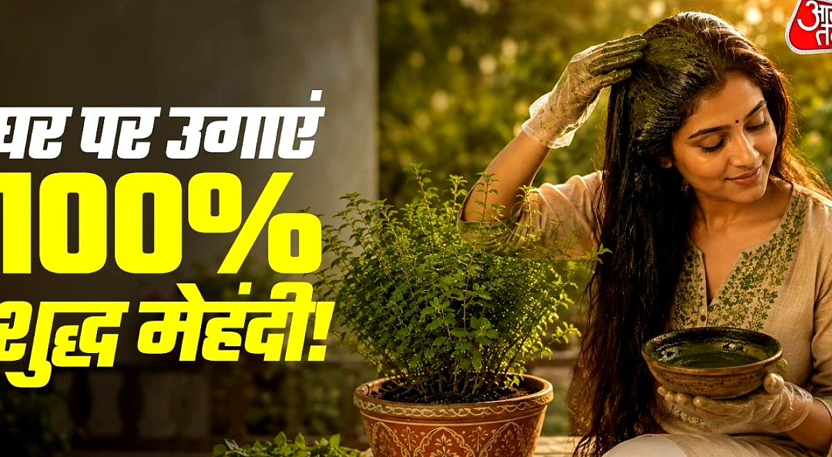 बालों के लिए नहीं खरीदनी पड़ेगी डाई, गमले में उगाएं हरी-भरी मेहंदी