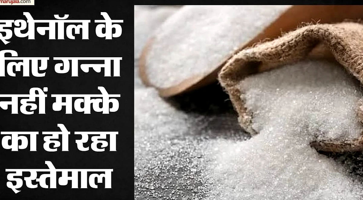 इथेनॉल के कारण नहीं महंगी हुई चीनी': सरकार ने खारिज किए दावे, जमाखोरी और कम उत्पादन को बताया जिम्मेदार