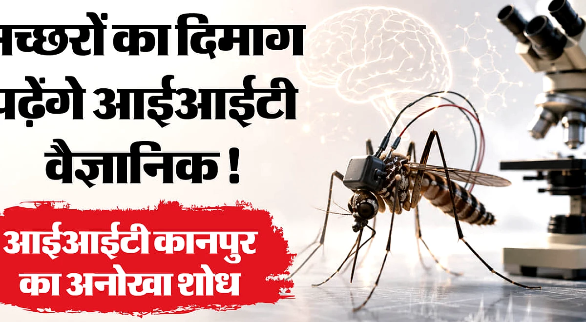 UP: मच्छरों का दिमाग पढ़ेंगे आईआईटी कानपुर के वैज्ञानिक, इंसानी गंध और खून पीने के व्यवहार पर शुरू हुआ शोध