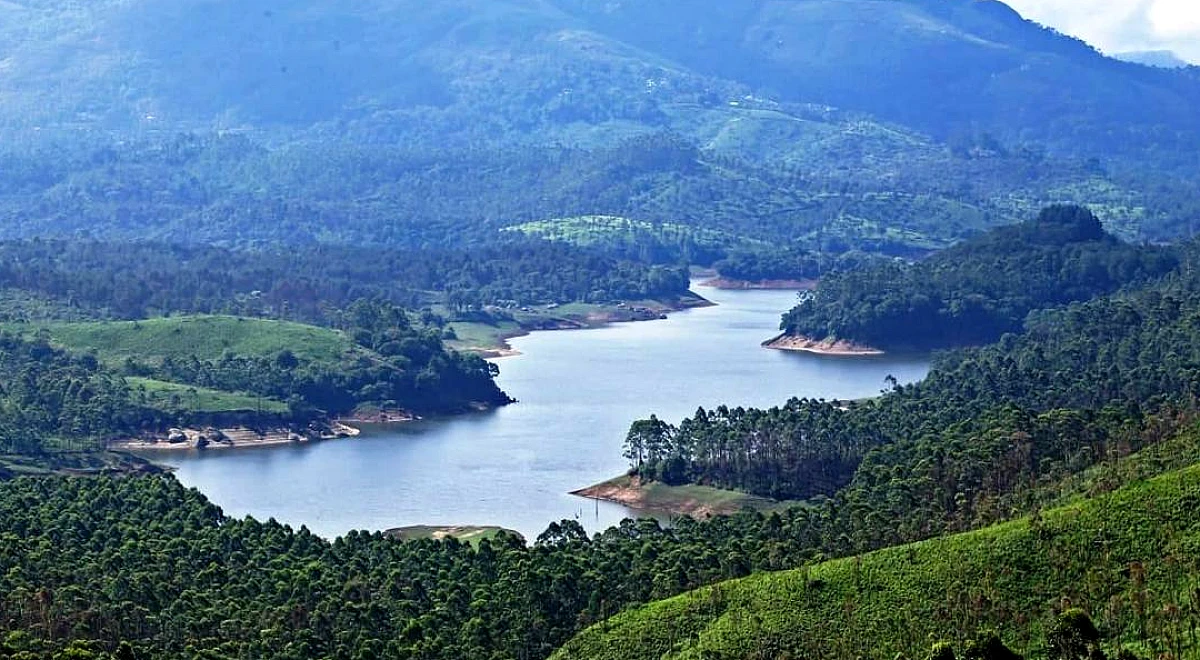 इडुक्की कलेक्टर ने वन विभाग को हाथी गलियारों के भीतर अवैध निर्माण पर रिपोर्ट प्रस्तुत करने का निर्देश दिया