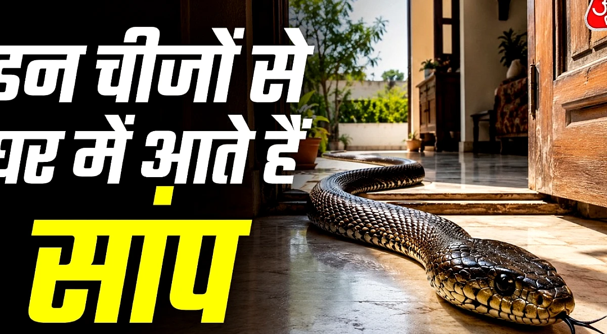सांपों को खींचती है आपके घर से आने वाली ये गंध, इसीलिए चले आते हैं