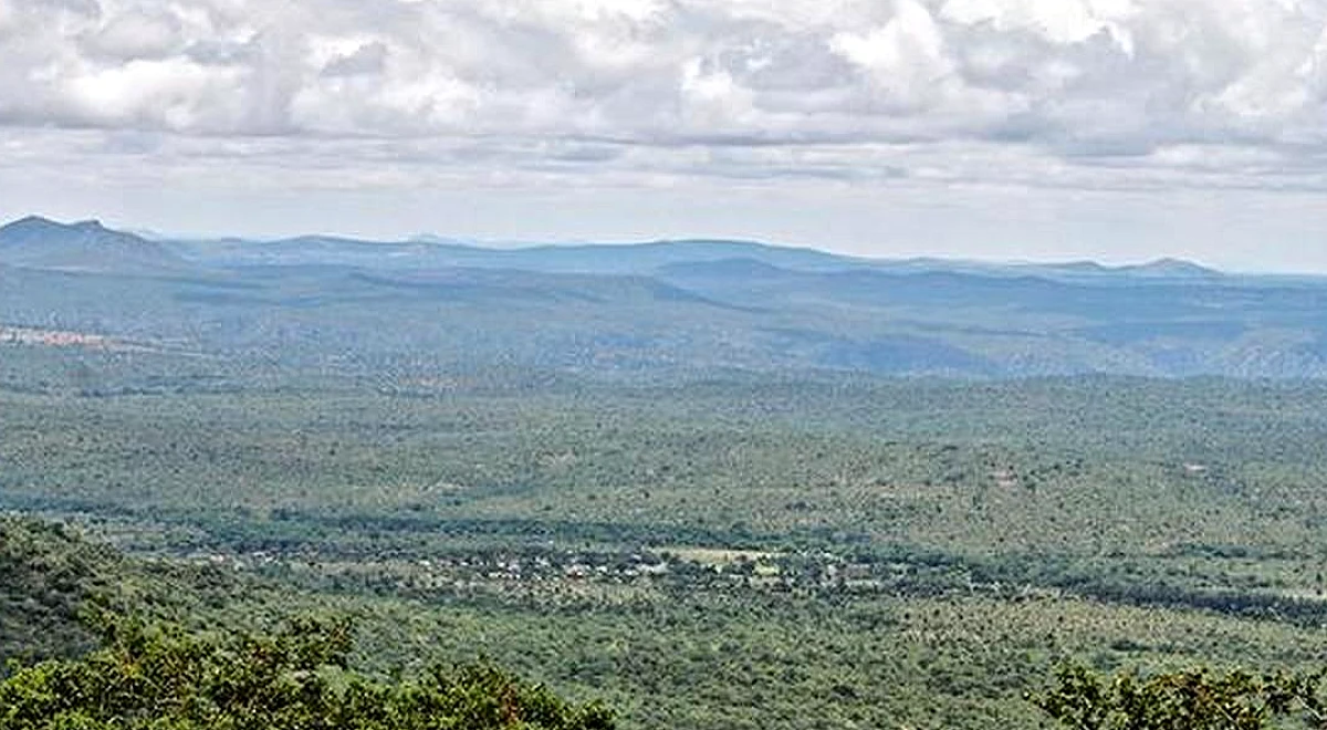 Climate change destabilising Western Ghats’ forest ecosystems in Nilgiri Biosphere Reserve, warn researchers