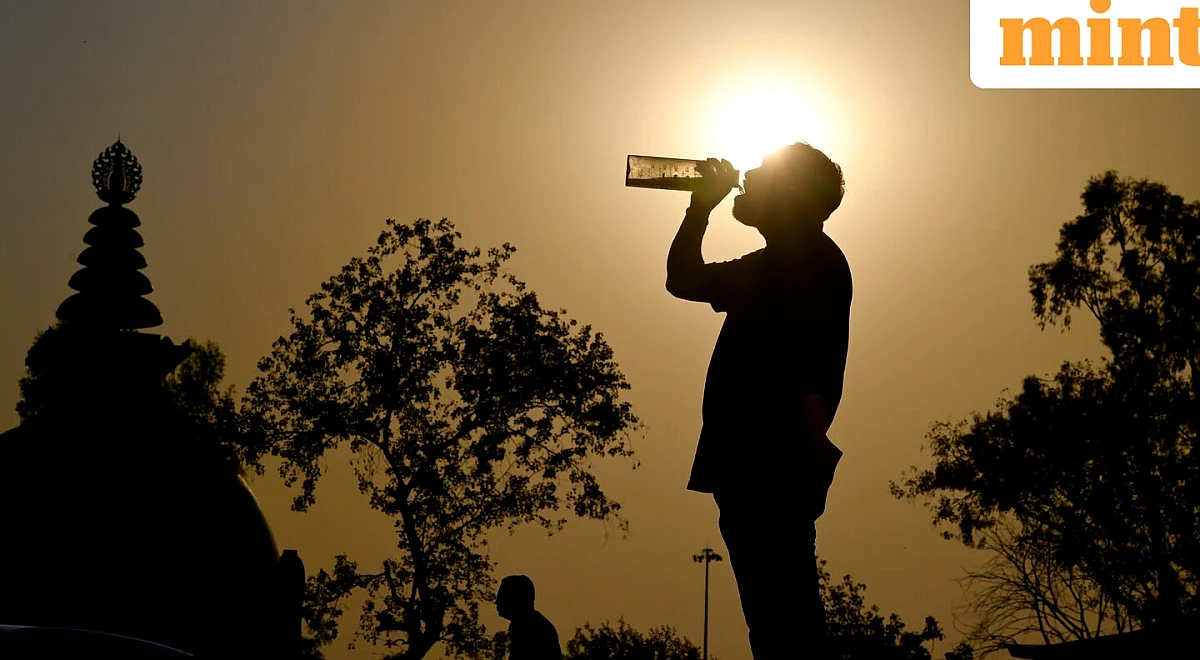 भारत में मानसून सामान्य से 13% कम, मजबूत अल नीनो से 2027 में भीषण गर्मी का खतरा: रिपोर्ट - वैज्ञानिक क्या कहते हैं