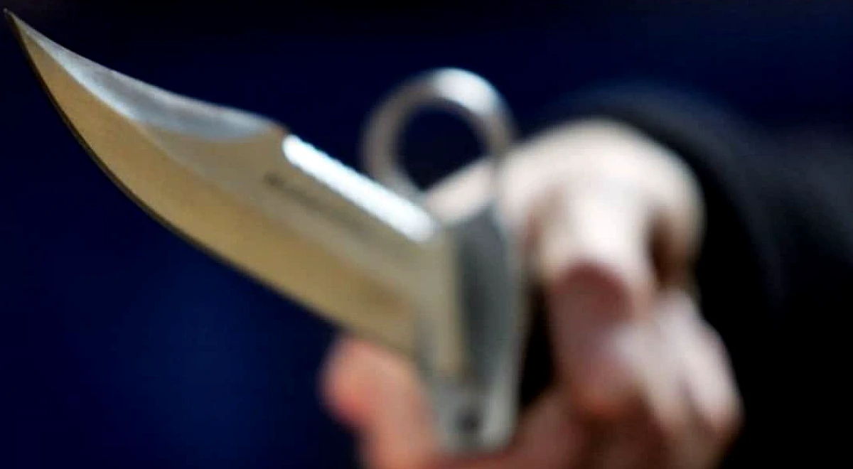 Haryana Horror: Woman Murders Husband, Takes Out Intestines, Jumps From Rooftop After Getting Caught