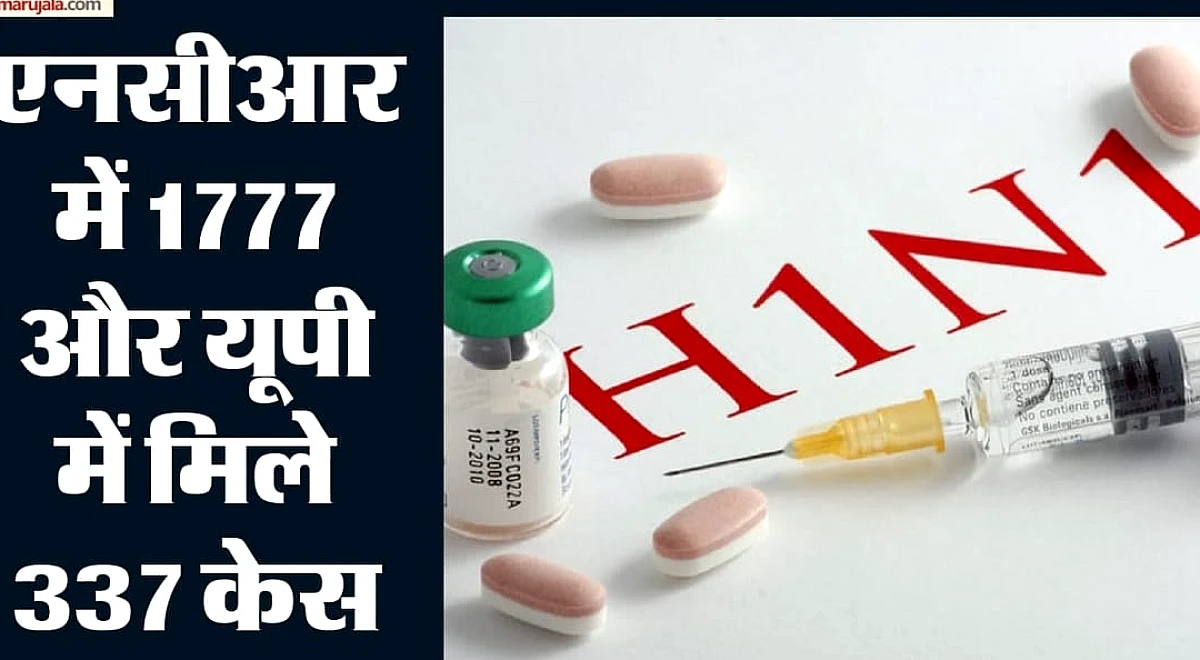 वायरस अटैक: दिल्ली समेत 6 राज्यों में फैला स्वाइन फ्लू, राजधानी में 8 गुना बढ़े मामले; आईसीएमआर ने किया सावधान