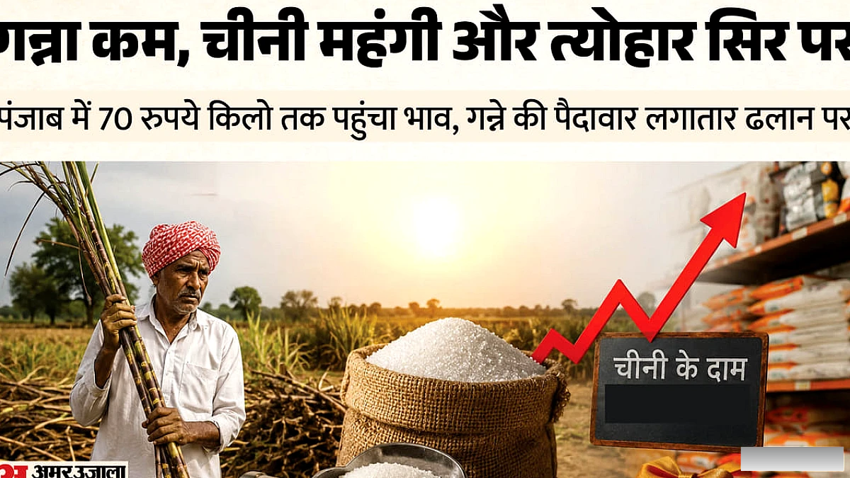 पंजाब में गन्ने की मिठास घटी, चीनी हुई कड़वी: 6 साल में 7.74% गिरा उत्पादन, 69.1 लाख टन पर पहुंचा उत्पादन