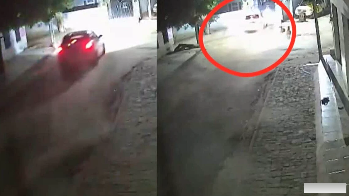 तेज रफ्तार कार बीकानेर हाउस के गेट से टकराई, परिवार बाल-बाल बचा