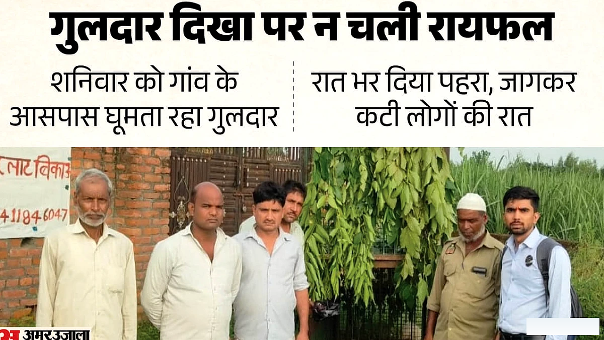 डिप्टी रेंजर की राइफल ने नहीं बजा, मासूम को मारने वाले गुलदार की तलाश