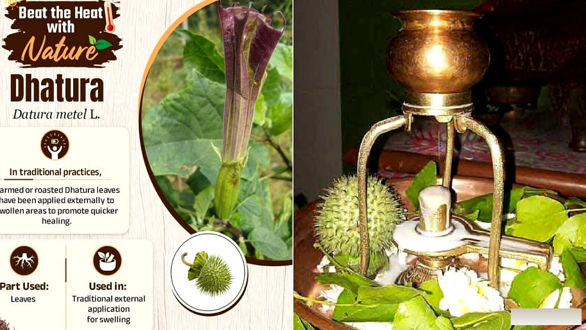 सावन' से शिव को चढ़ाने से लेकर कर्नाटक के ई-कॉमर्स प्रतिबंध और एप्सटीन फ़ाइलें तक