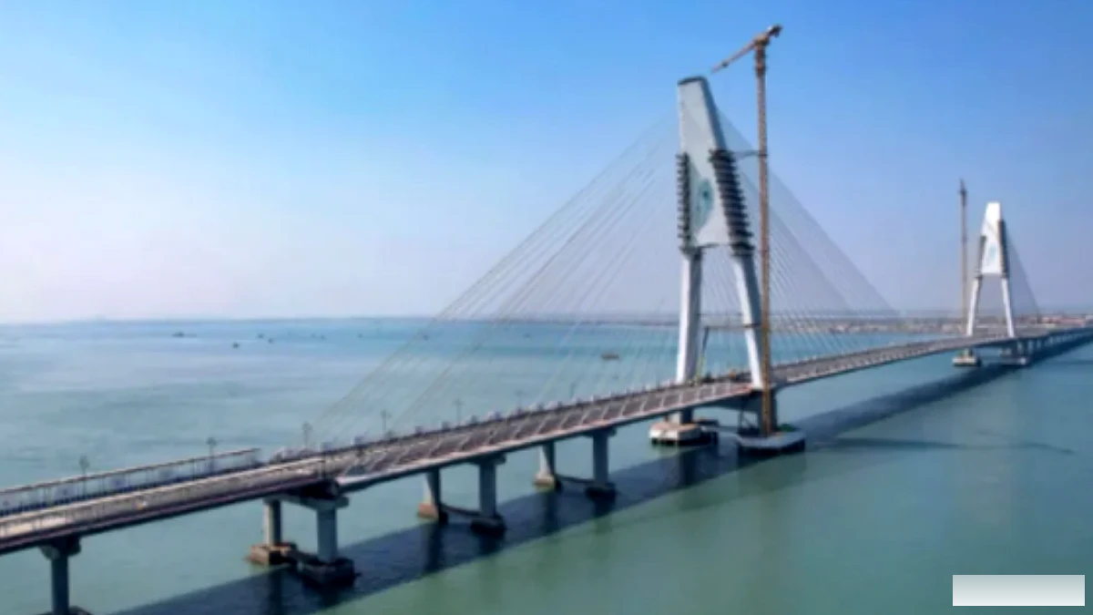 जैसा कि ऑडिट ने सुरक्षा चूक का संकेत दिया है, दिल्ली प्रतिष्ठित सिग्नेचर ब्रिज की मरम्मत की योजना बना रही है