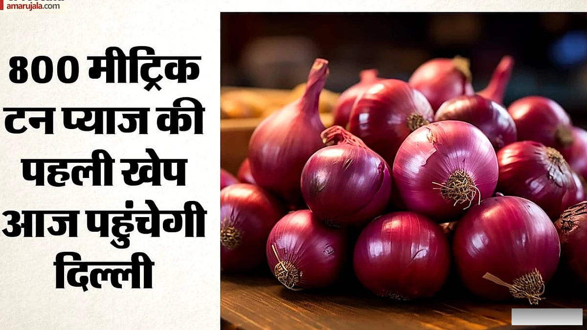 कांदा एक्सप्रेस से शुरू होगी प्याज की रियायती आपूर्ति: 35 रुपये प्रति किलो मिलेगा, जानिए सरकार की योजना