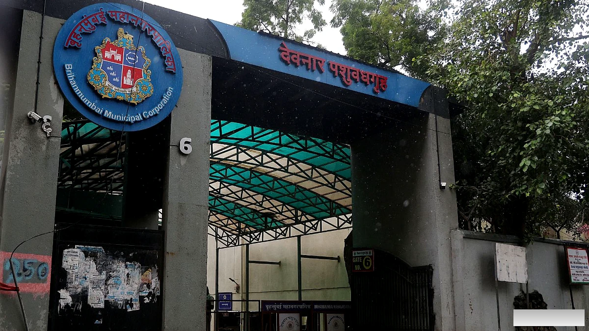 मुंबई में खाद्य सुरक्षा कार्रवाई: एफडीए द्वारा शिकंजा कसने पर बीएमसी ने एक साल में 48,166 किलोग्राम मांस नष्ट किया