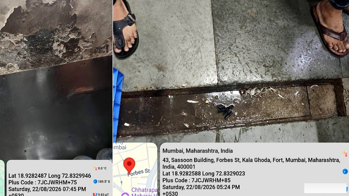 मैं एक सेलिब्रिटी नहीं हूं': अयूब की कार्रवाई, तेल प्रतिबंध के यू-टर्न के बीच 'सिंघम' मुंडे बोले