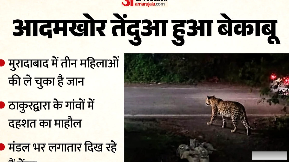 यूपी में गर्दन पकड़ रहा तेंदुआ: अब झुंड पर भी हमला कर रहे तेंदुए, शरीर का ये हिस्सा बचाना हुआ मुश्किल