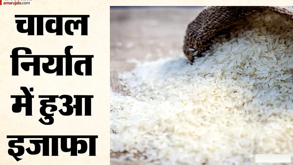 चावल के दाम में 15% उछाल, निर्यात ने रफ्तार पकड़ी; दाल खरीद के लिए 500 केंद्र खुलेंगे