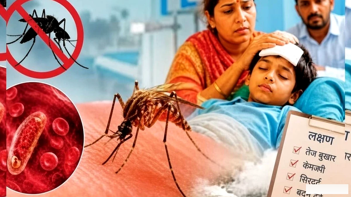 डेंगू के डर के बीच मलेरिया की बढ़ी मार, लखनऊ मंडल में इस साल अब तक इस बीमारी के 1,084 मामले