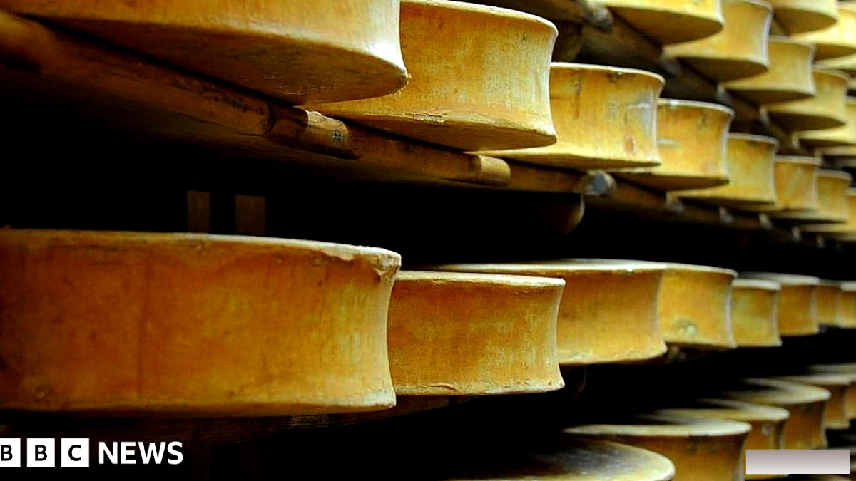 लंबे सूखे के बाद फ्रांस ने पनीर बनाने के सख्त नियमों में ढील दी
