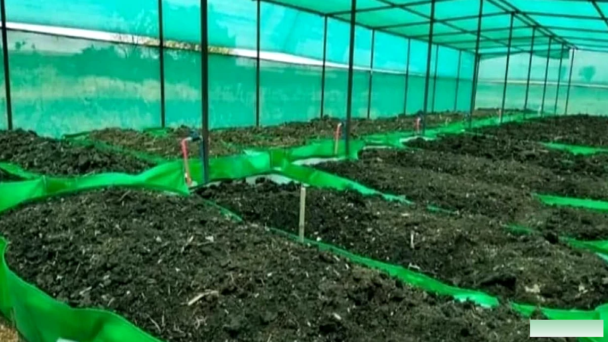 नालंदा में लगेंगी 8 बायोगैस इकाइयां, 1300 वर्मी कंपोस्ट पिट पर मिलेगा 50% अनुदान, ऑनलाइन आवेदन शुरू