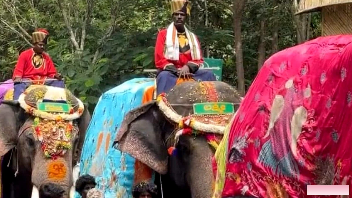 हाथियों का बीमा खो गया, हैंडलर कवर 10 गुना बढ़कर 20 लाख रुपये हो गया। उसकी वजह यहाँ है