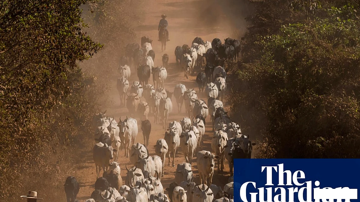 ब्रिटेन ने स्वास्थ्य संबंधी चिंताओं को लेकर ब्राजीलियाई मांस के आयात पर प्रतिबंध लगाने का आग्रह किया