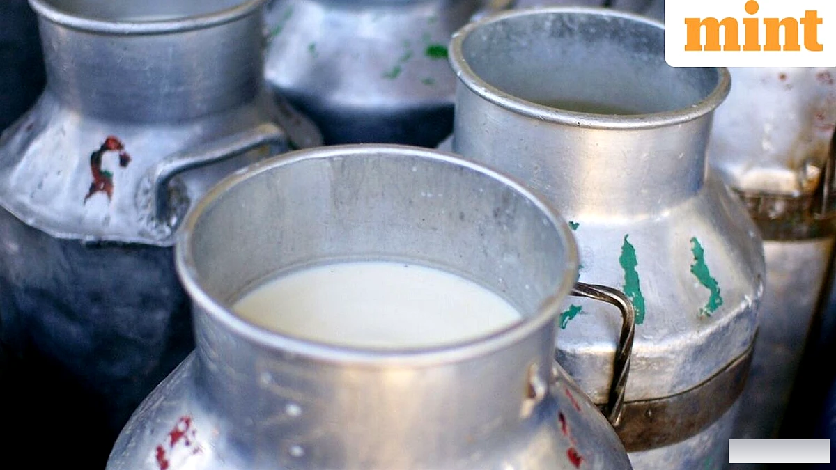 मुंबई में दूध की कीमत में बढ़ोतरी: कीमतें कितनी बढ़ीं, क्यों और अन्य महानगरों की तुलना कैसे हुई