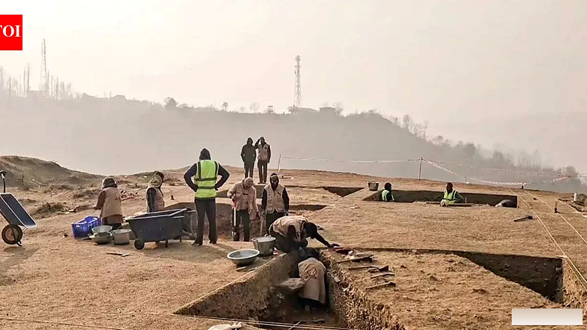 कश्मीर के प्राचीन बौद्ध स्थल पर दूसरे चरण की खुदाई आज शुरू
