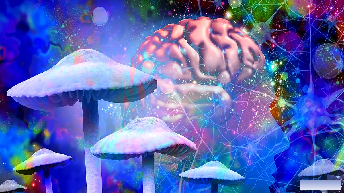 Psilocybin आपके मस्तिष्क को पल भर में जीवंत बना सकता है