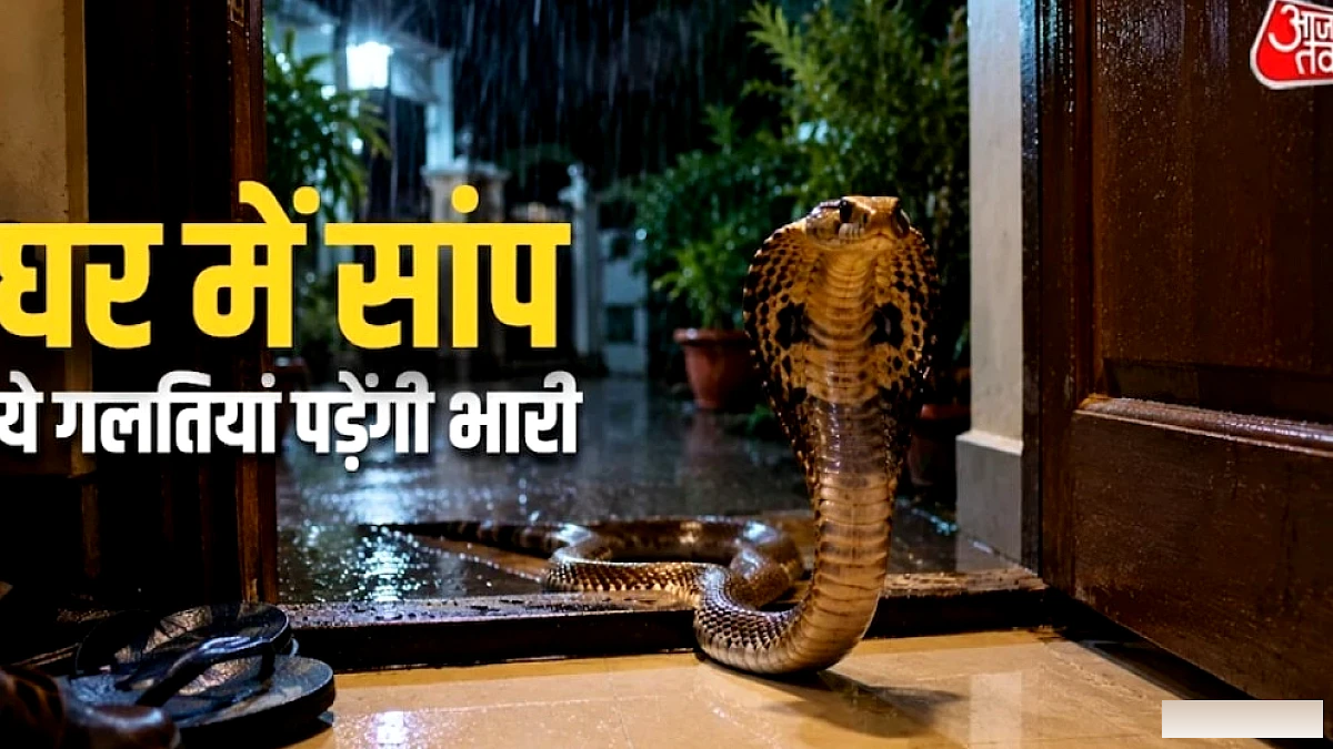 सांप को मदहोश करती है घर से आ रही ये गंध! तभी खिंचे चले आते हैं