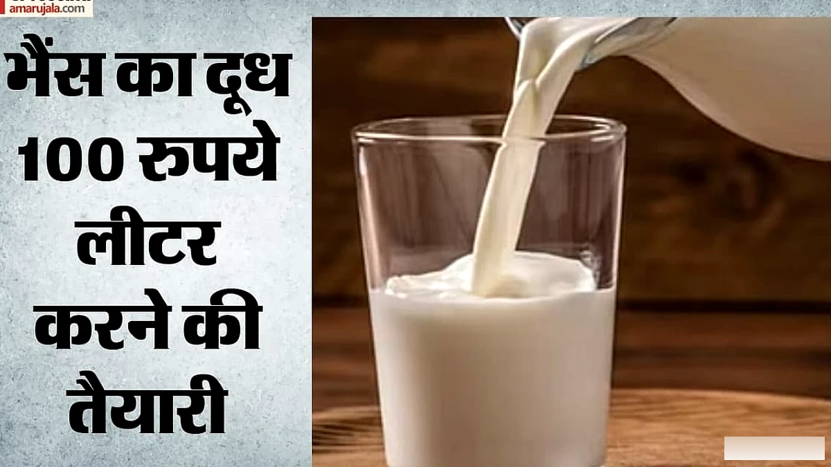 दूध के दाम बढ़ाने पर मंथन, भैंस का दूध ₹100 प्रति लीटर बिकेगा? कम कीमत पर ₹5100 जुर्माने का प्रस्ताव