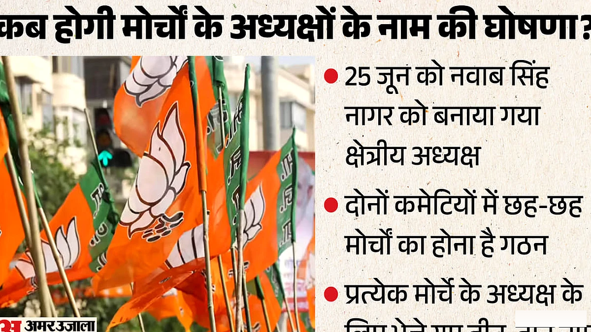 भाजपा में दो माह बाद भी मोर्चों के अध्यक्षों के नाम पर न लगी मुहर, कांग्रेस में दो पदों के लिए भागदौड़