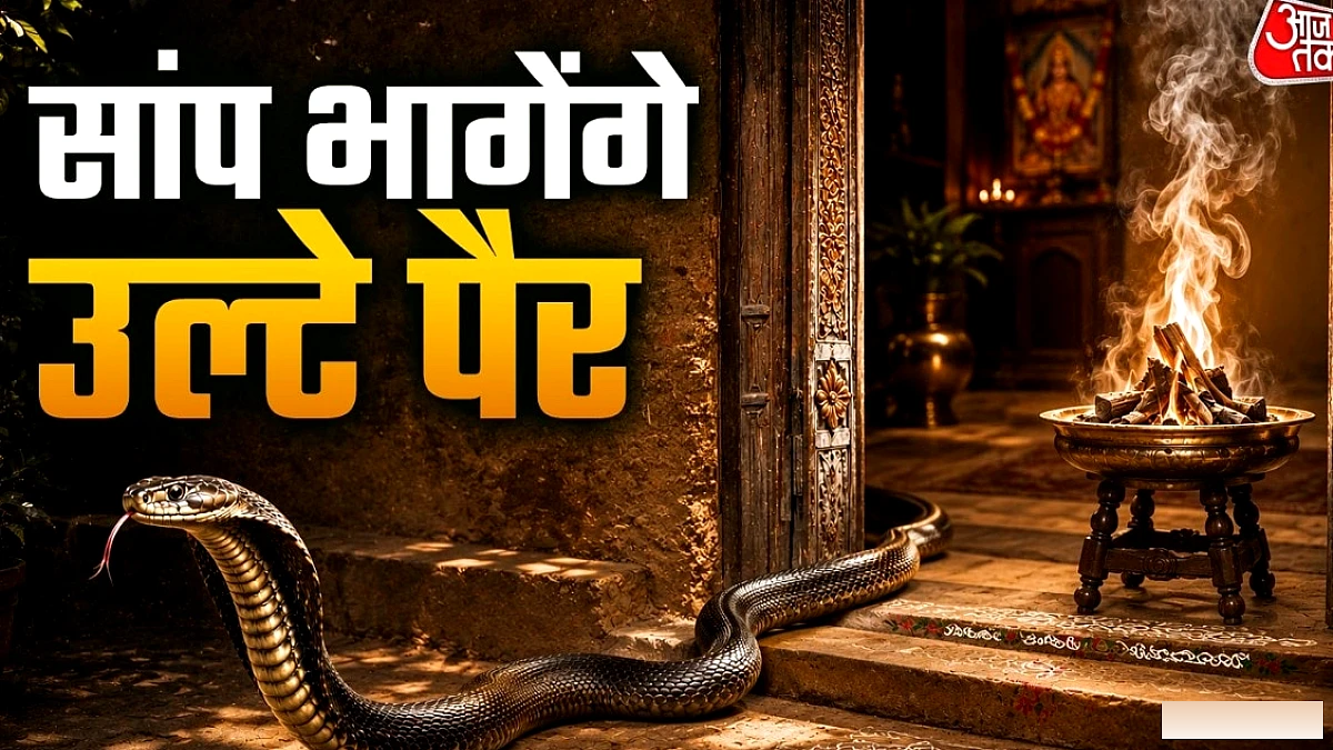 सांप को नहीं पसंद ये 4 तरह की महक, सूंघते ही भागते हैं उल्टे पैर