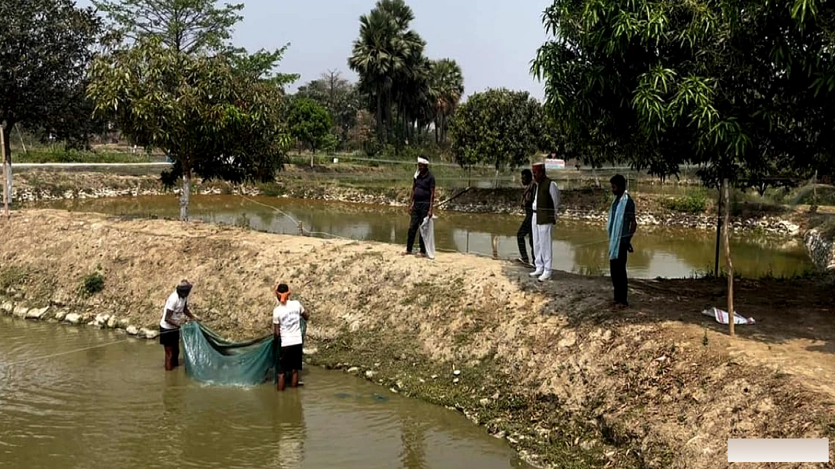नालंदा में 361 सरकारी जलकरों की होगी नीलामी, जून 2027 तक मिलेगा पट्टा; 15 सितंबर से शुरू होगी प्रक्रिया