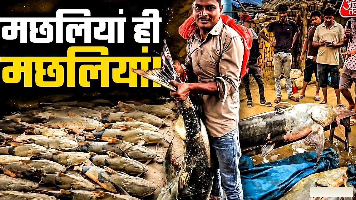 नेपाल से बिहार आईं 100 किलो की मछलियां, देखकर लोग हैरान