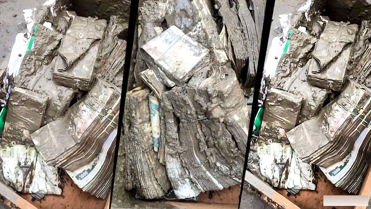 50 करोड़ का सोना, कई बक्सों में कैश... नेपाल की बाढ़ में डूबे बैंक से निकला खजाना