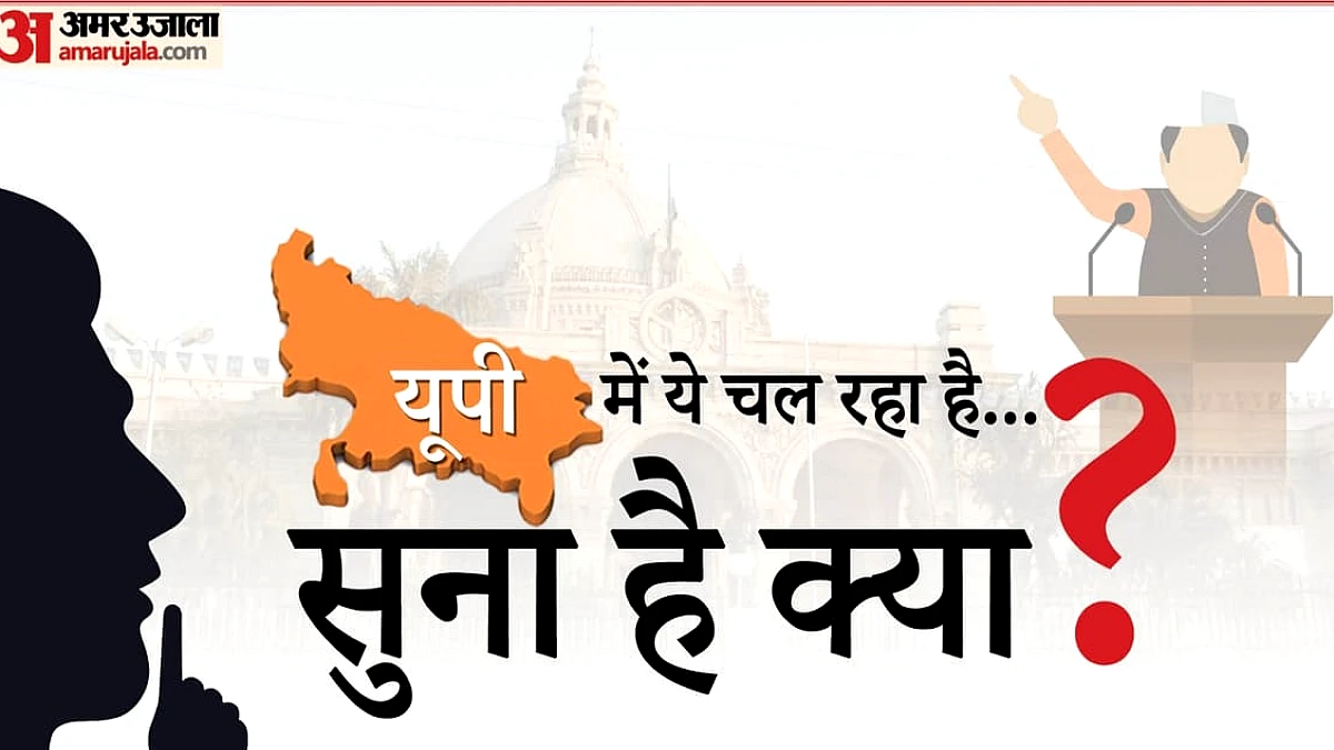 छोटे मियां शुभान अल्लाह', साथ ही 'पत्ता कटने का डर और अफसर को वास्तु दोष से डर' के किस्से