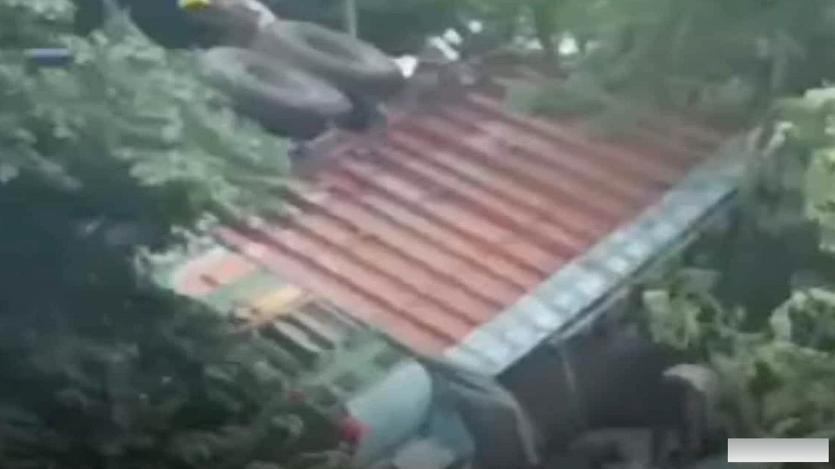 भोजपुर के मलौर में आरा‑सासाराम स्टेट हाईवे पर चावल लदे ट्रक ने नहर में पलटाव किया, चालक सुरक्षित