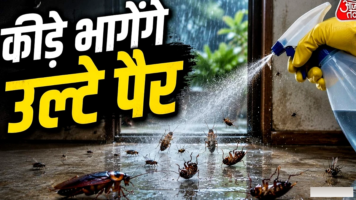 घर में भर घुस रहे हैं बरसाती कीड़े और तिलचट्टे, अपनाएं ये ट्रिक