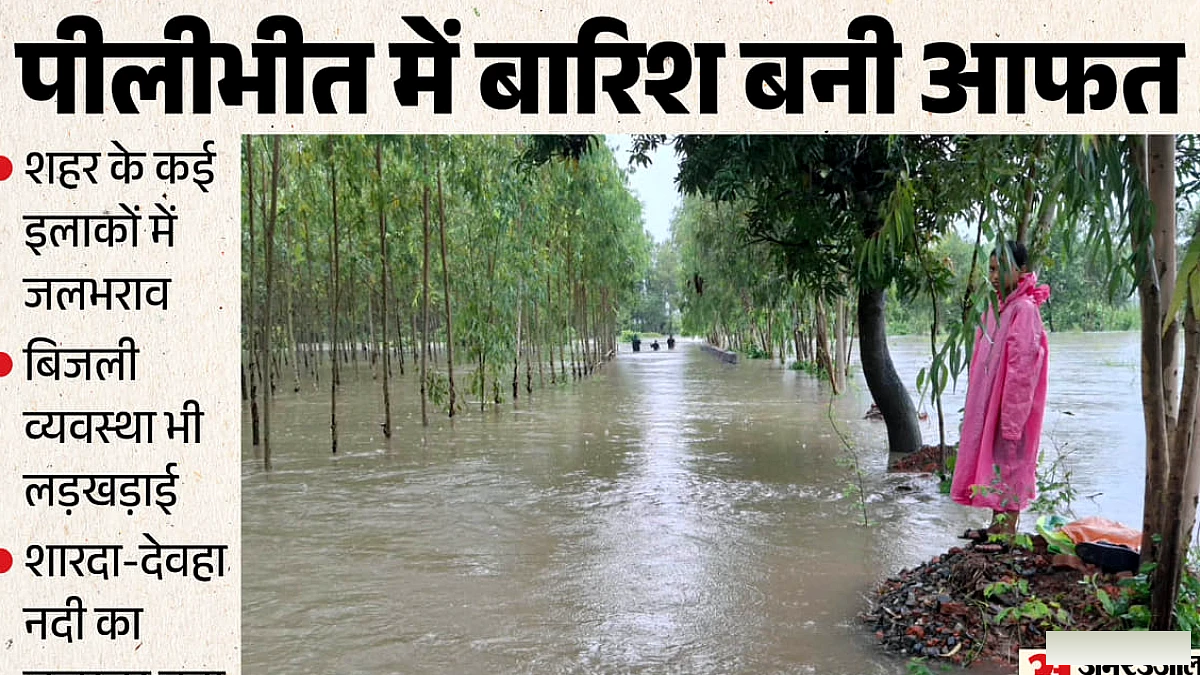 पीलीभीत में तेज बारिश से पेड़ गिरने से 62 वर्षीय किसान की मौत, सड़कों पर जलभराव, बाढ़ का खतरा