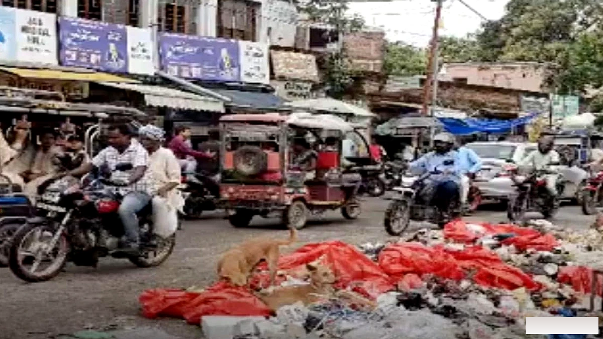 नवादा में डम्पिंग यार्ड की समस्या से सफाई व्यवस्था बिगड़ी, सड़कों पर कचरा जमा