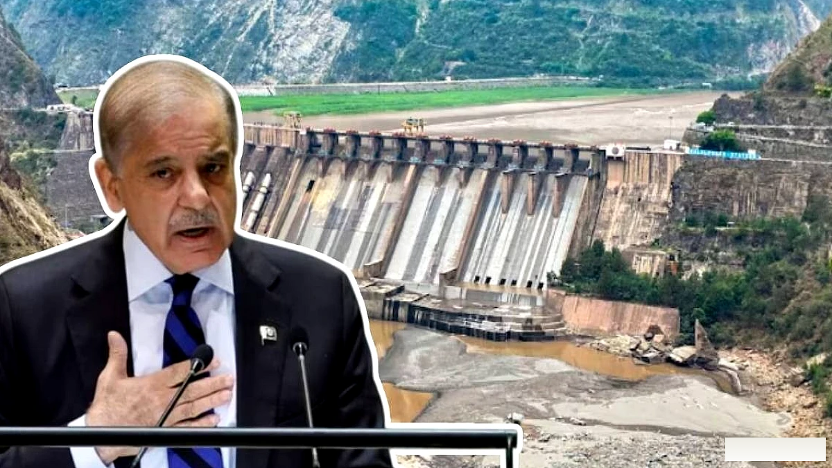 सिंधु के बिना सूख रहा है PAK का हलक, SCO में शहबाज ने पानी को बताया Lifeblood...