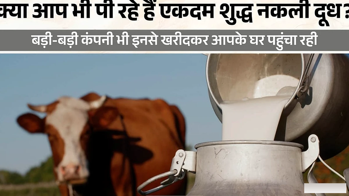 दूध के नाम पर 'सफेद जहर': नूंह कर रहा पूरे NCR को बीमार, कारोबारियों के हौसले क्यों हैं बुलंद? ये रही सच्चाई