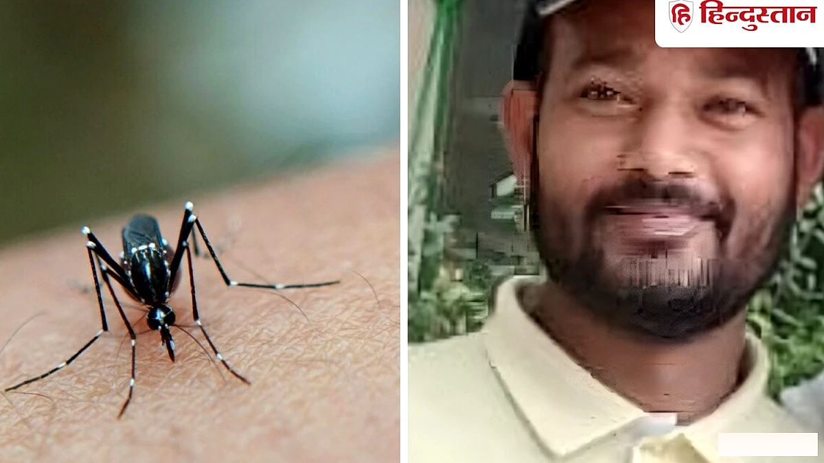 पटना में डेंगू से पहली मौत, 30 साल के स्कूल कर्मचारी की जान गई; अगले दो महीने हो सकते हैं जानलेवा
