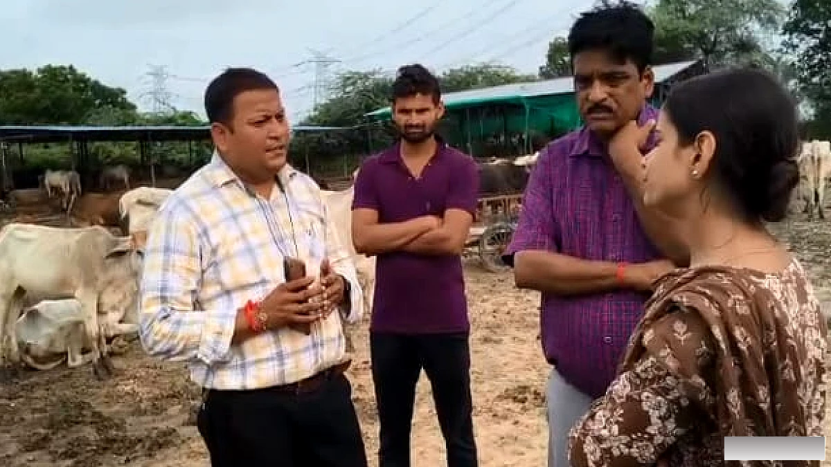 ‘दलदल में दम तोड़ते बेजुबान’, गोवंश के शवों को नोंचते मिले कुत्ते, निरीक्षण में सामने आया खौफनाक मंजर