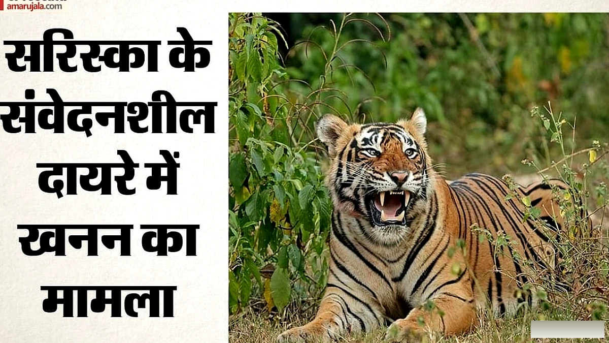 सरिस्का के 10 किमी दायरे में चल रहीं छह खानें, NGT में रिपोर्ट से खुलासा; अगली सुनवाई 12 अक्तूबर को