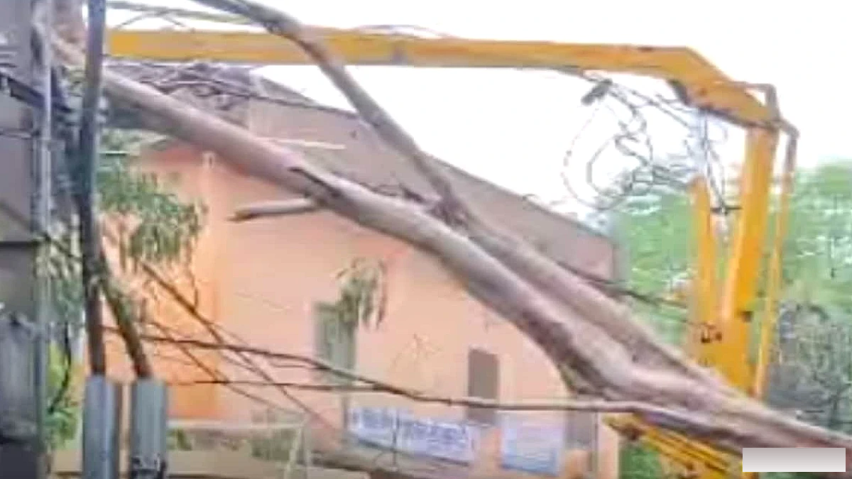 आरा में सड़क पर गिरा विशाल पेड़, ट्रांसफार्मर क्षतिग्रस्त, आवागमन रुक गया