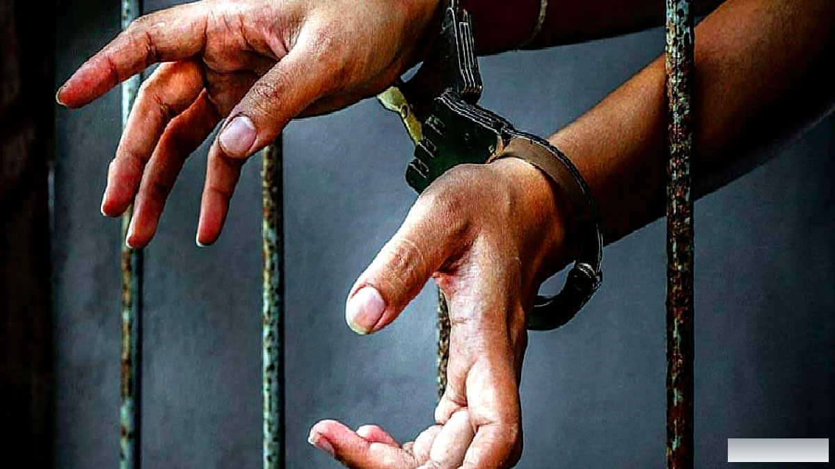 आखिर क्यों किया गिरफ्तार: पुलिस ने कारण नहीं बताया, कोर्ट ने रिमांड खारिज कर जमानत दी